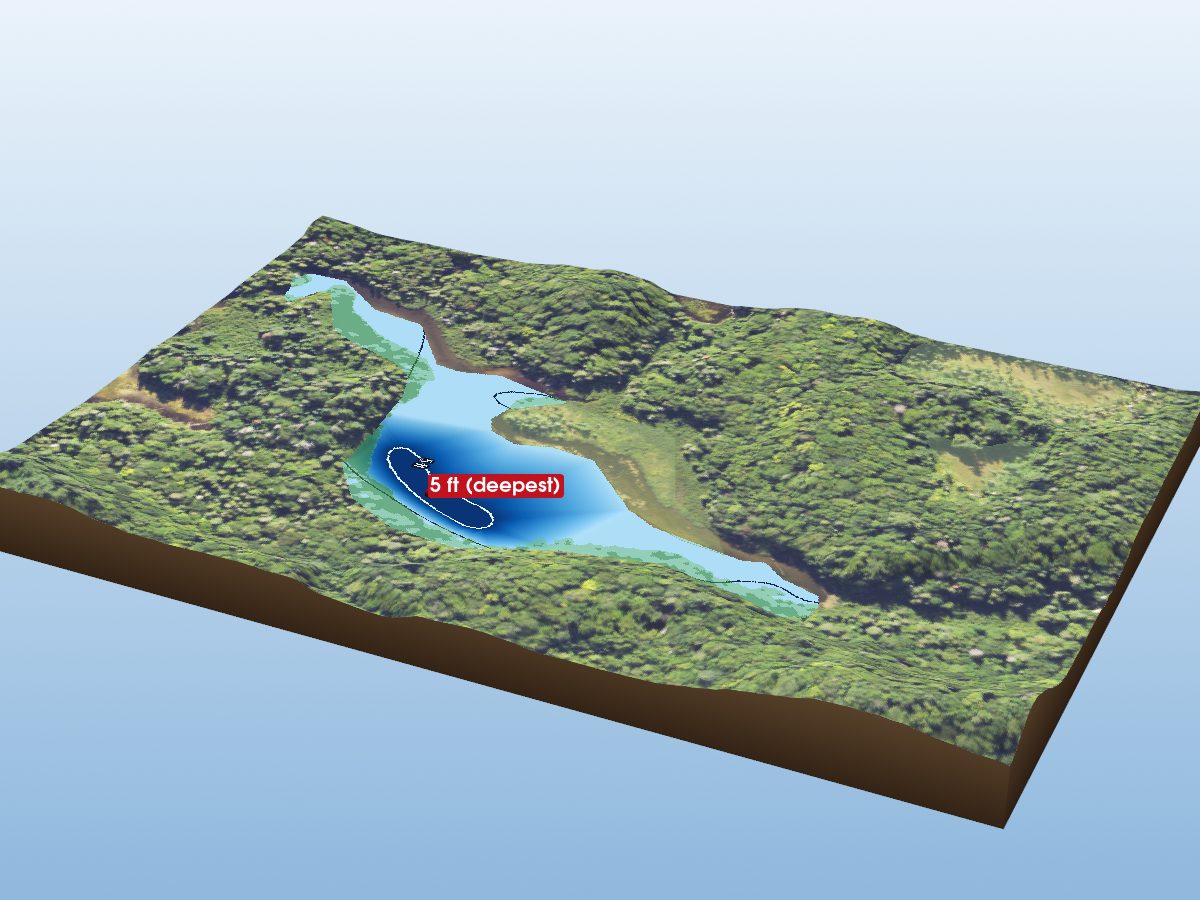 Depth map of Addis Lake (Northeast)