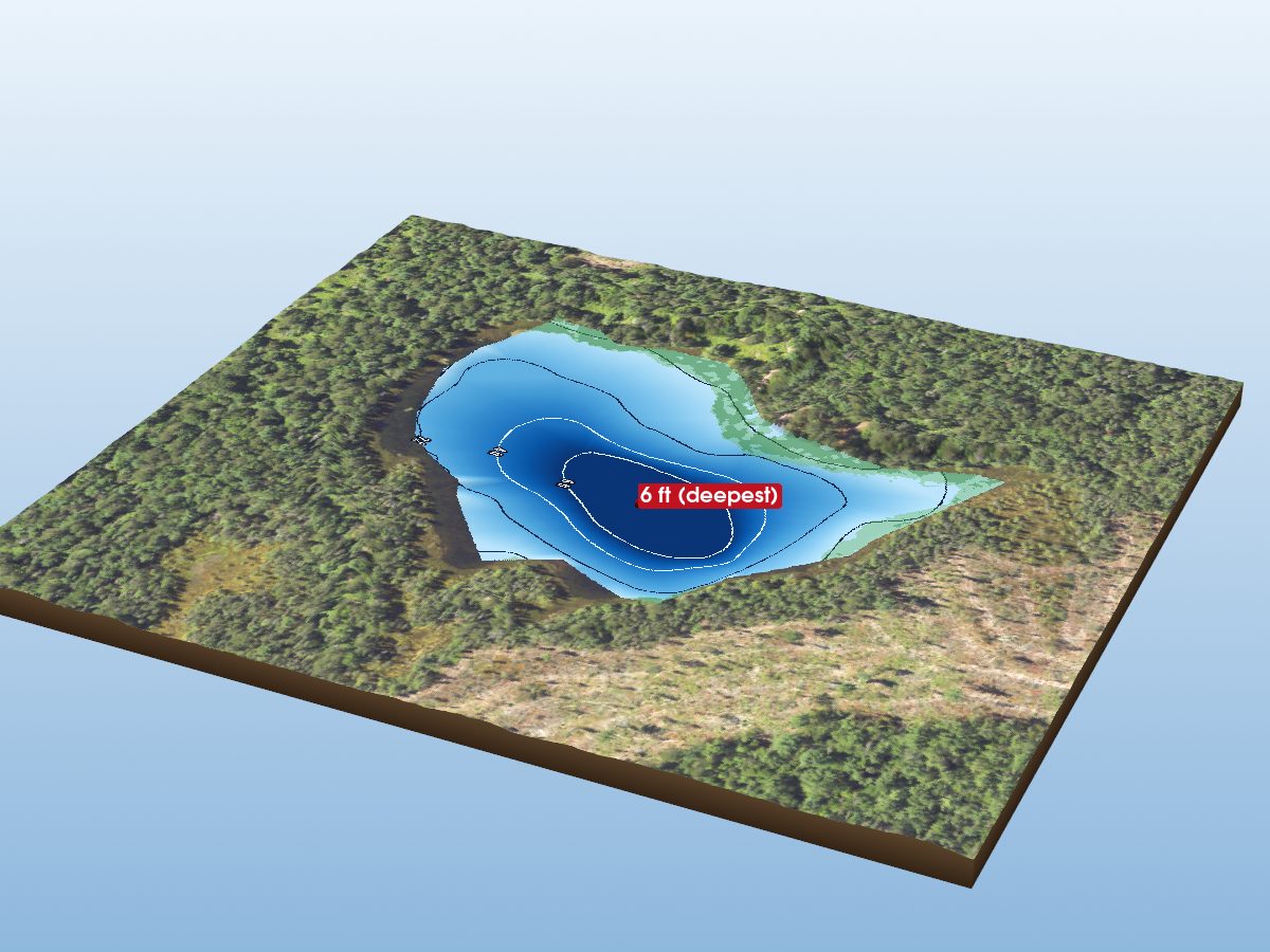 Depth map of Arbutus Lake
