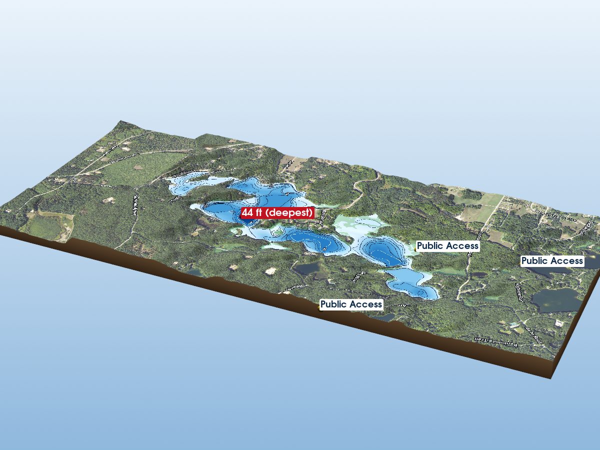Depth map of Arbutus Lake