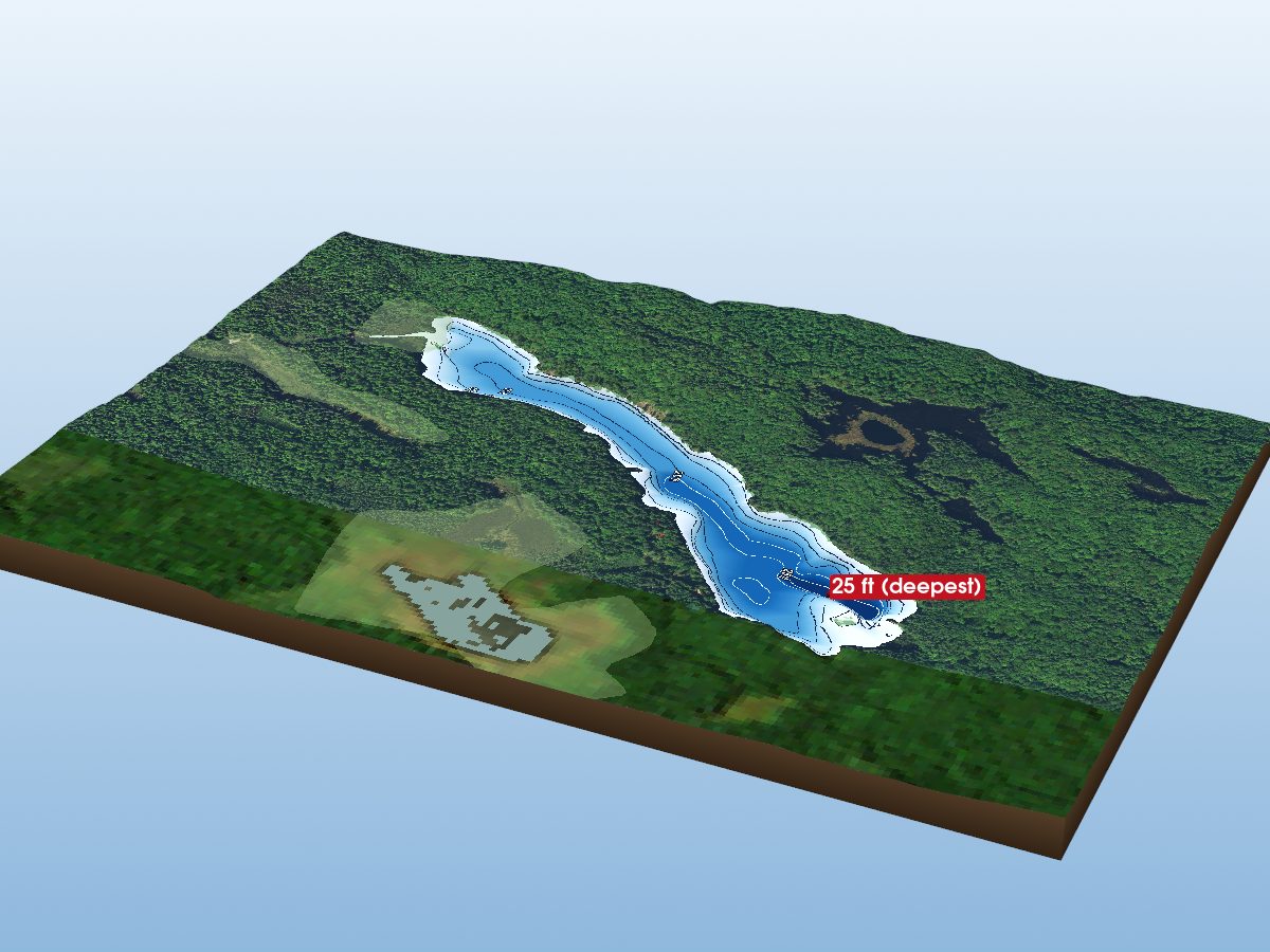 Depth map of Austin Lake