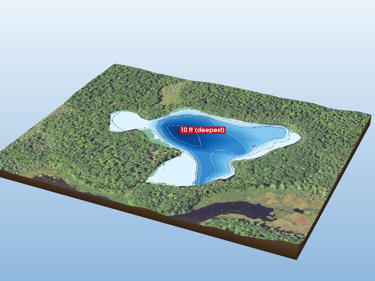 Depth map of Bearfoot Lake