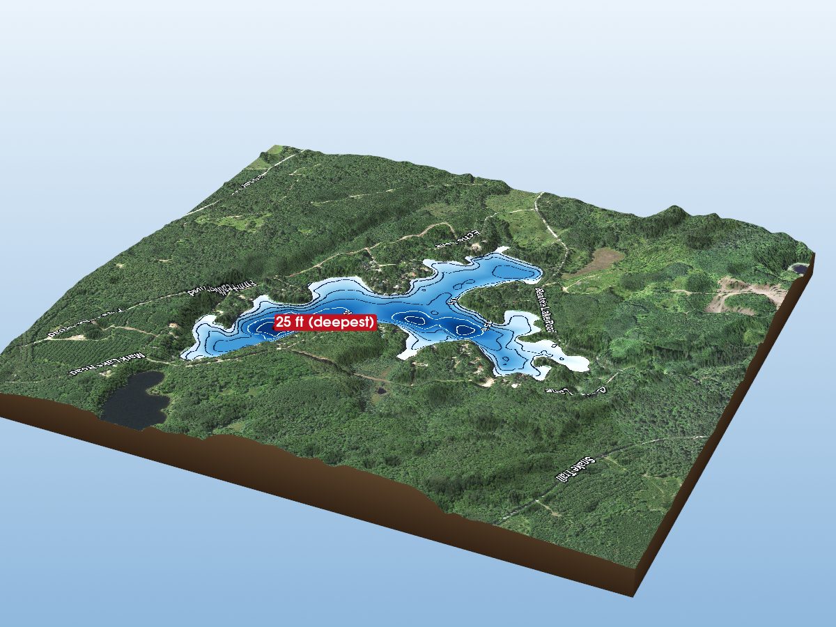 Depth map of Beatrice Lake