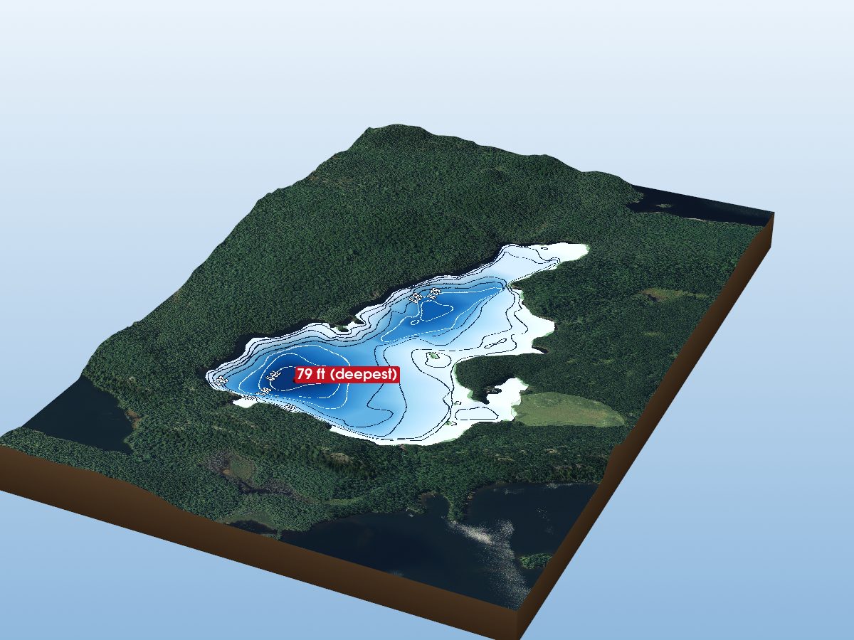 Depth map of Benner Lake