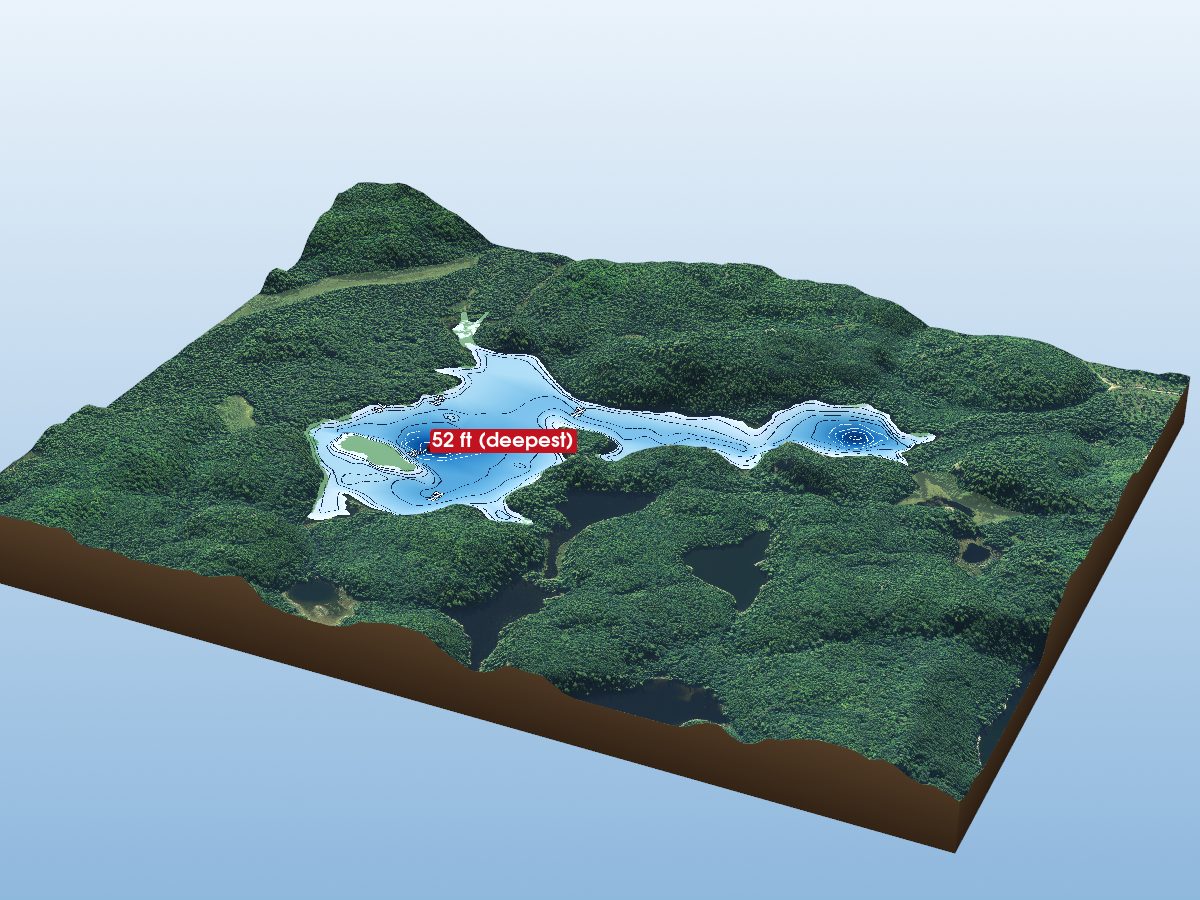 Depth map of Bierce Lake