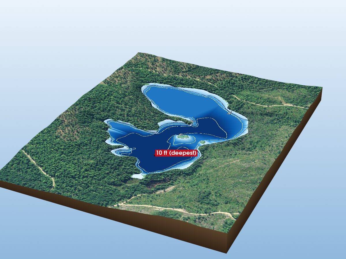Depth map of Big Shingle Lake