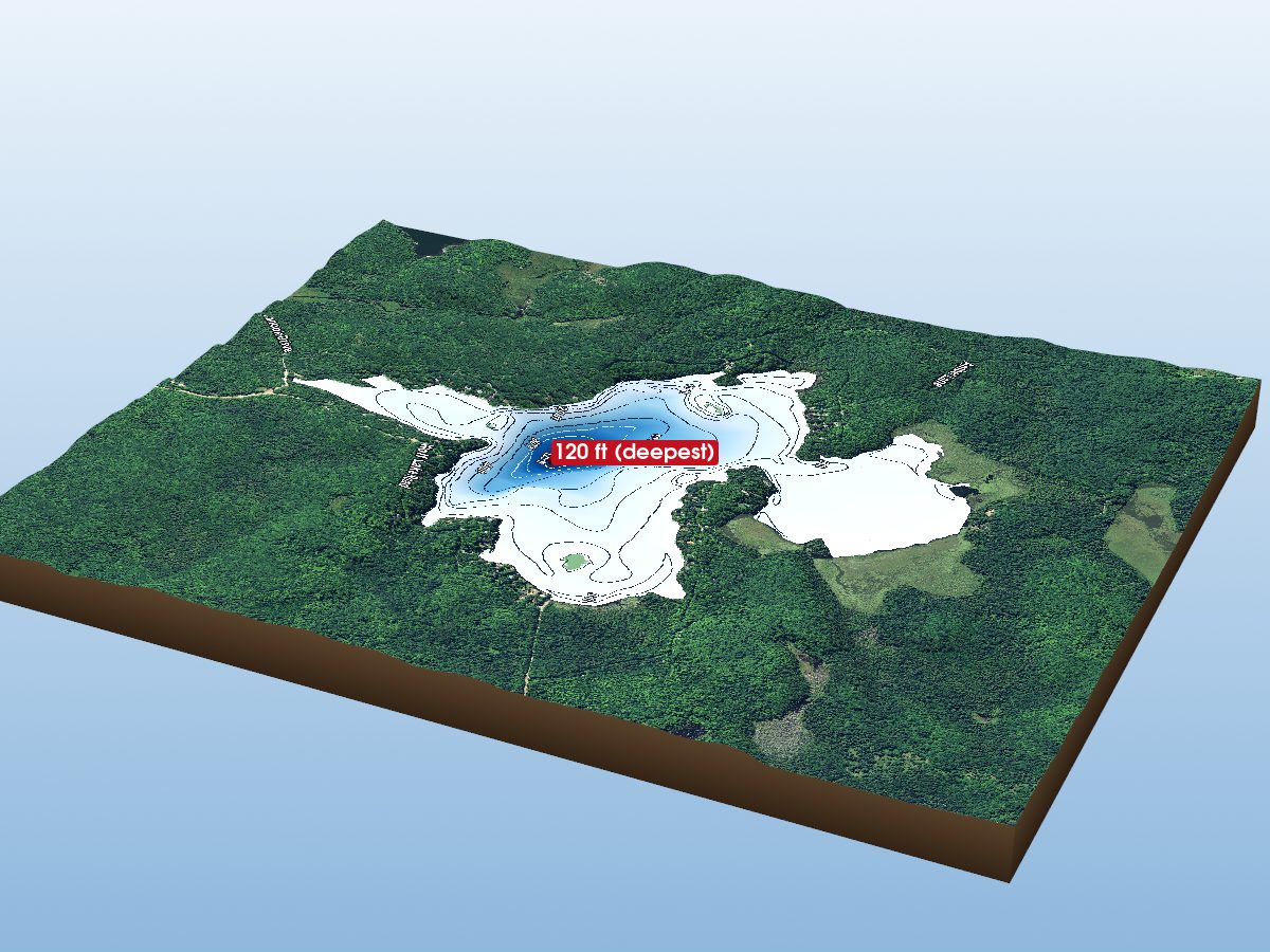 Depth map of Billings Lake