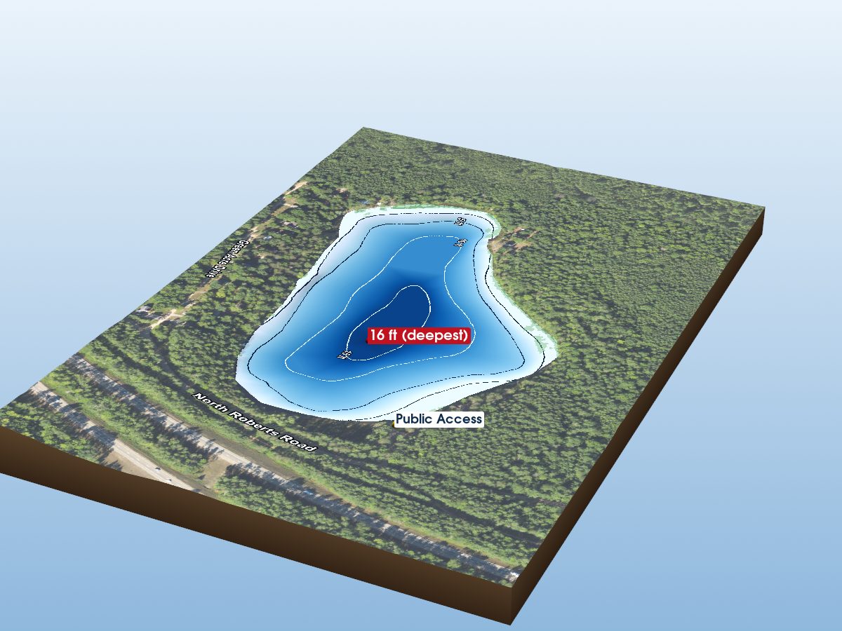 Depth map of Blue Gill Lake