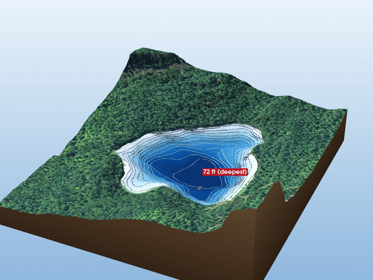 Depth map of Bolgers Lake