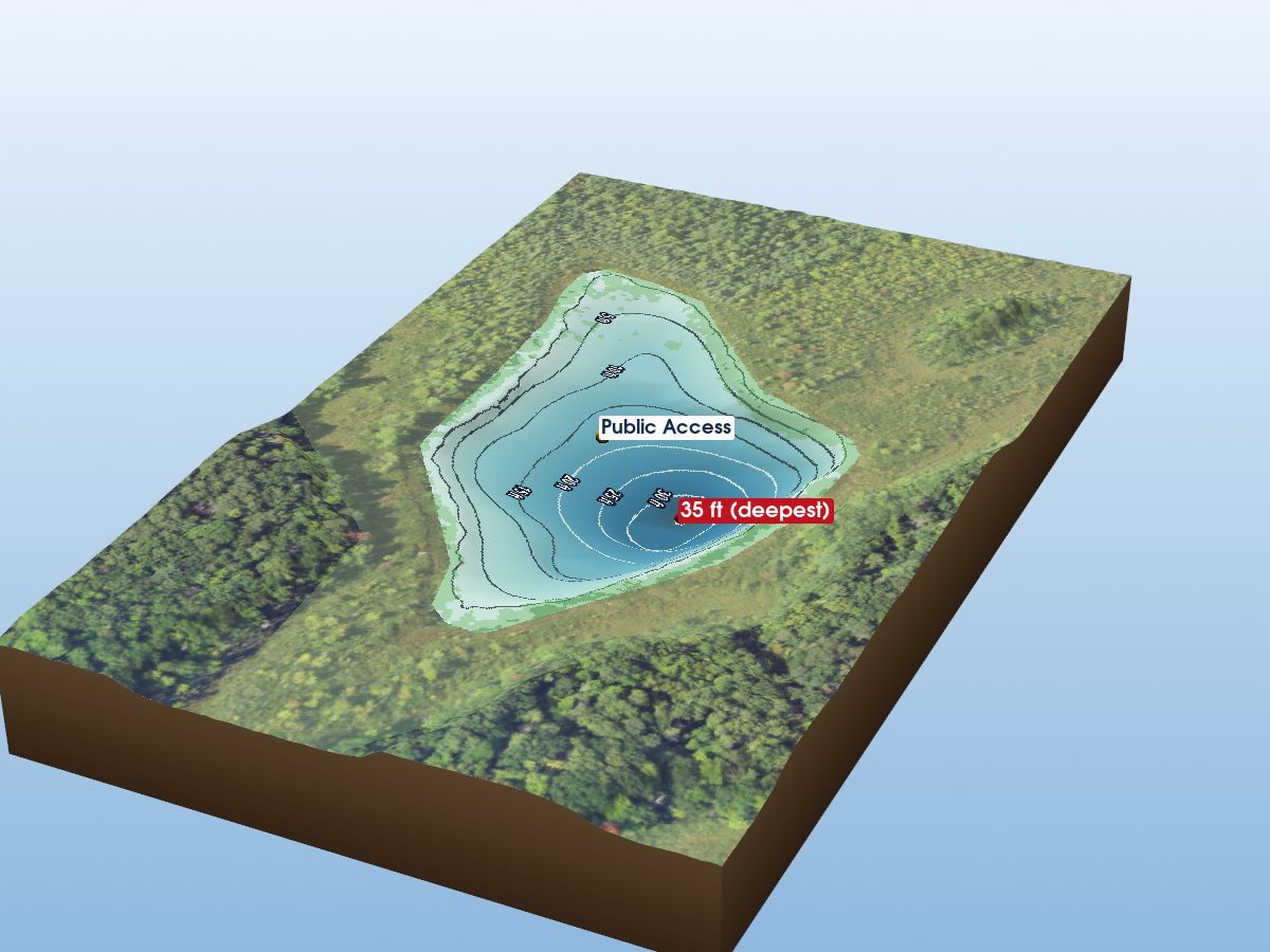 Depth map of Boss Lake