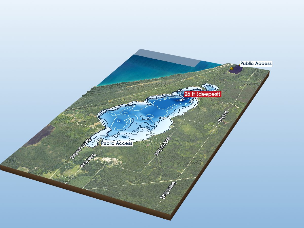 Depth map of Brevoort Lake