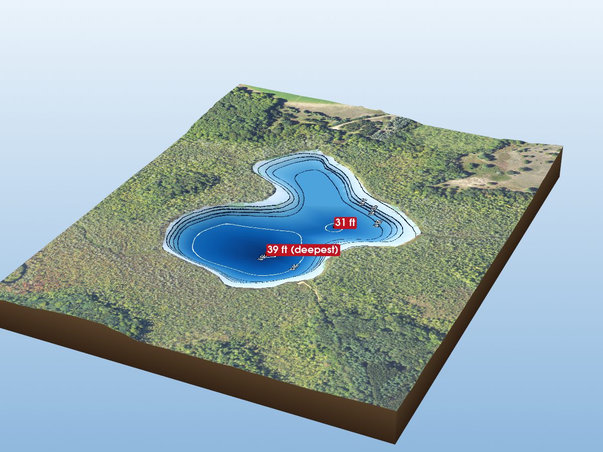 Depth map of Bridge Lake