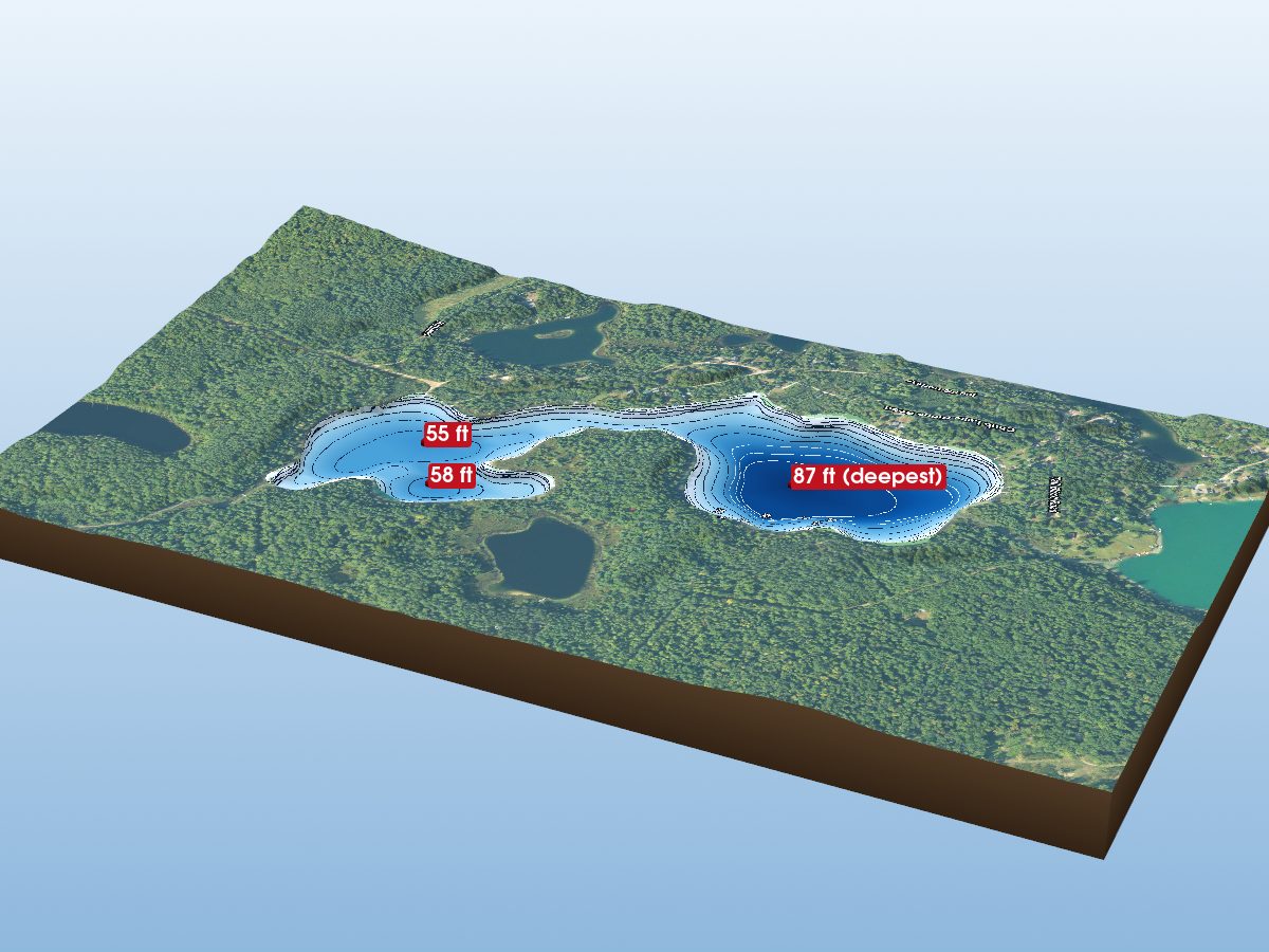 Depth map of Bridge Lake