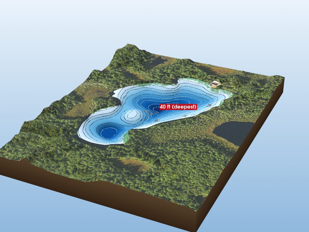 Depth map of Buddle Lake