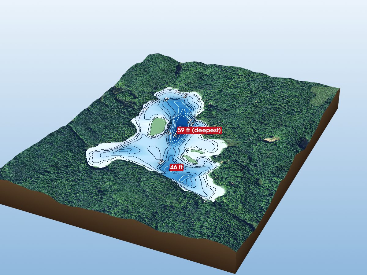 Depth map of Bushwolf Lake