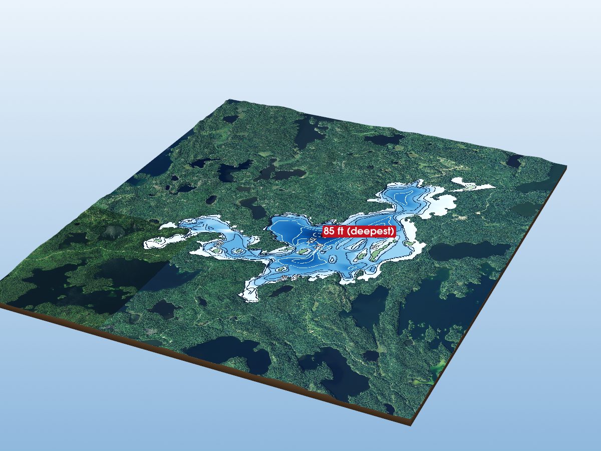 Depth map of Cameron Lake