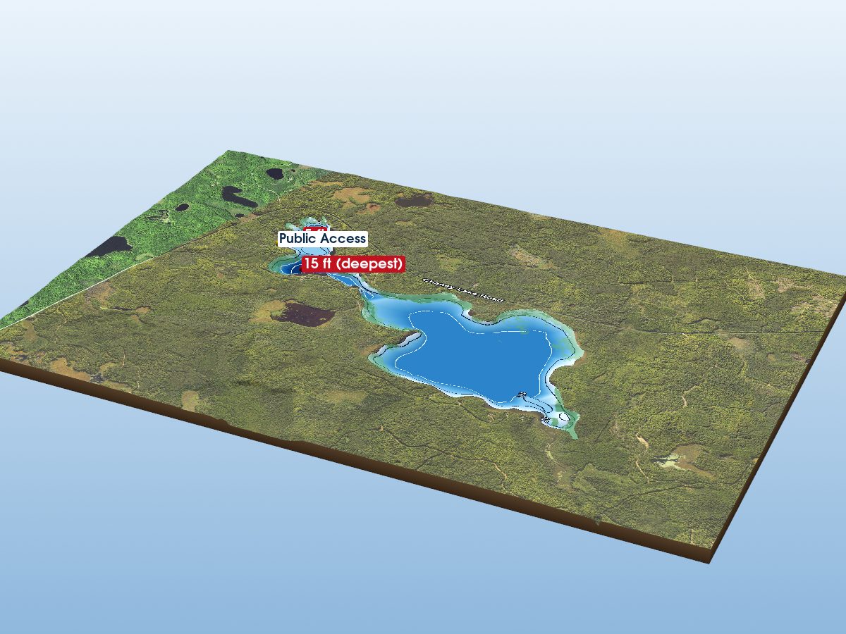 Depth map of Chaney Lake
