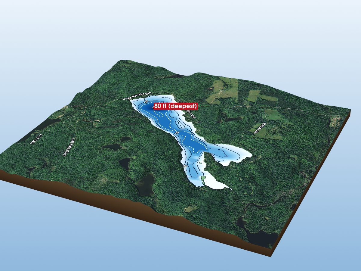 Depth map of Charlotte Lake