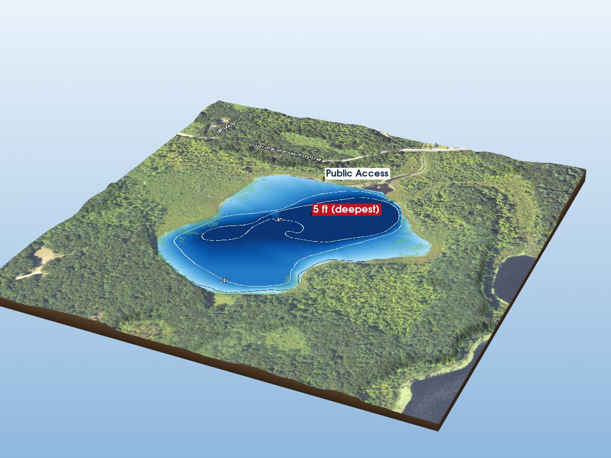 Depth map of Chief Noonday Lake