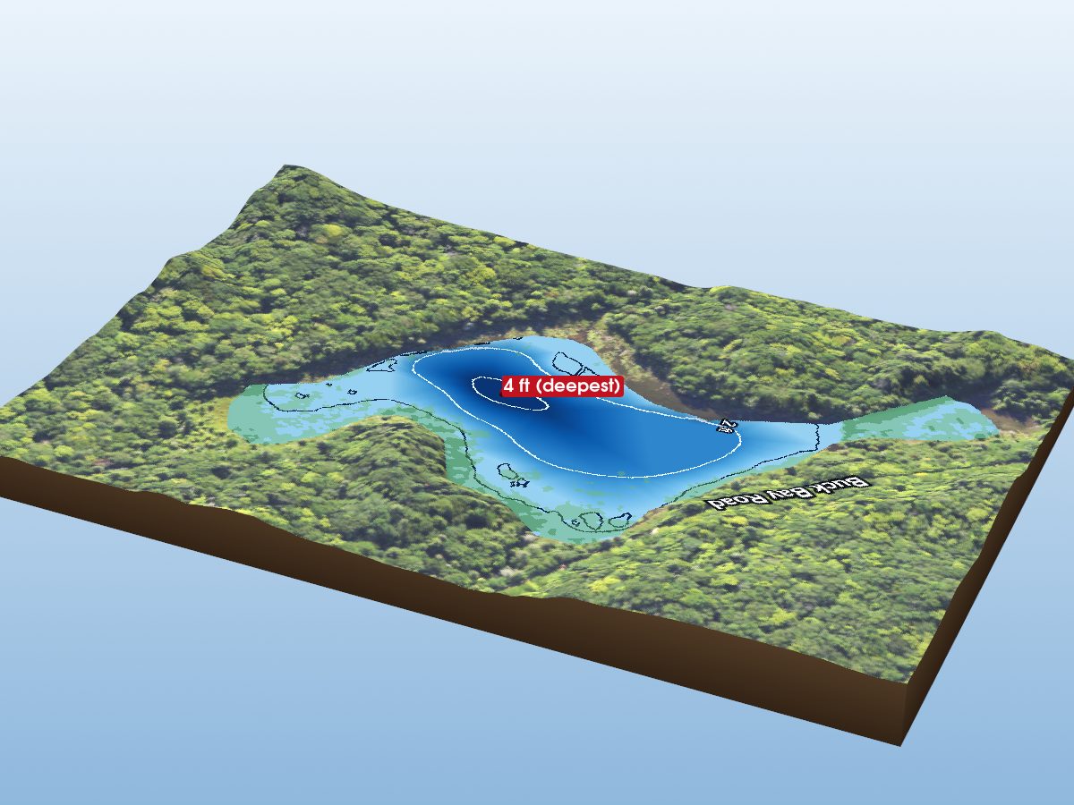 Depth map of Cole Creek Pond