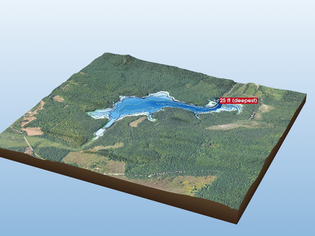Depth map of Cornwall Creek Floodin