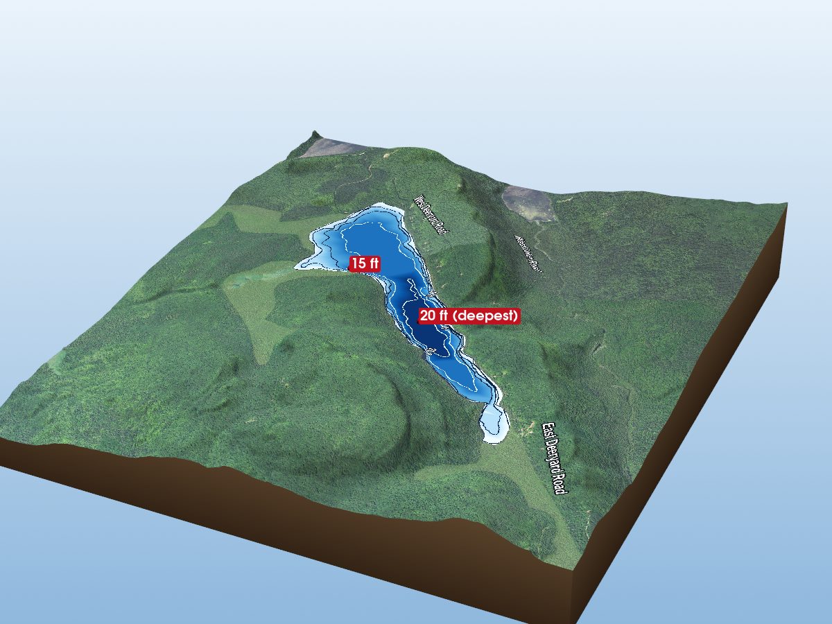 Depth map of Deer Yard Lake