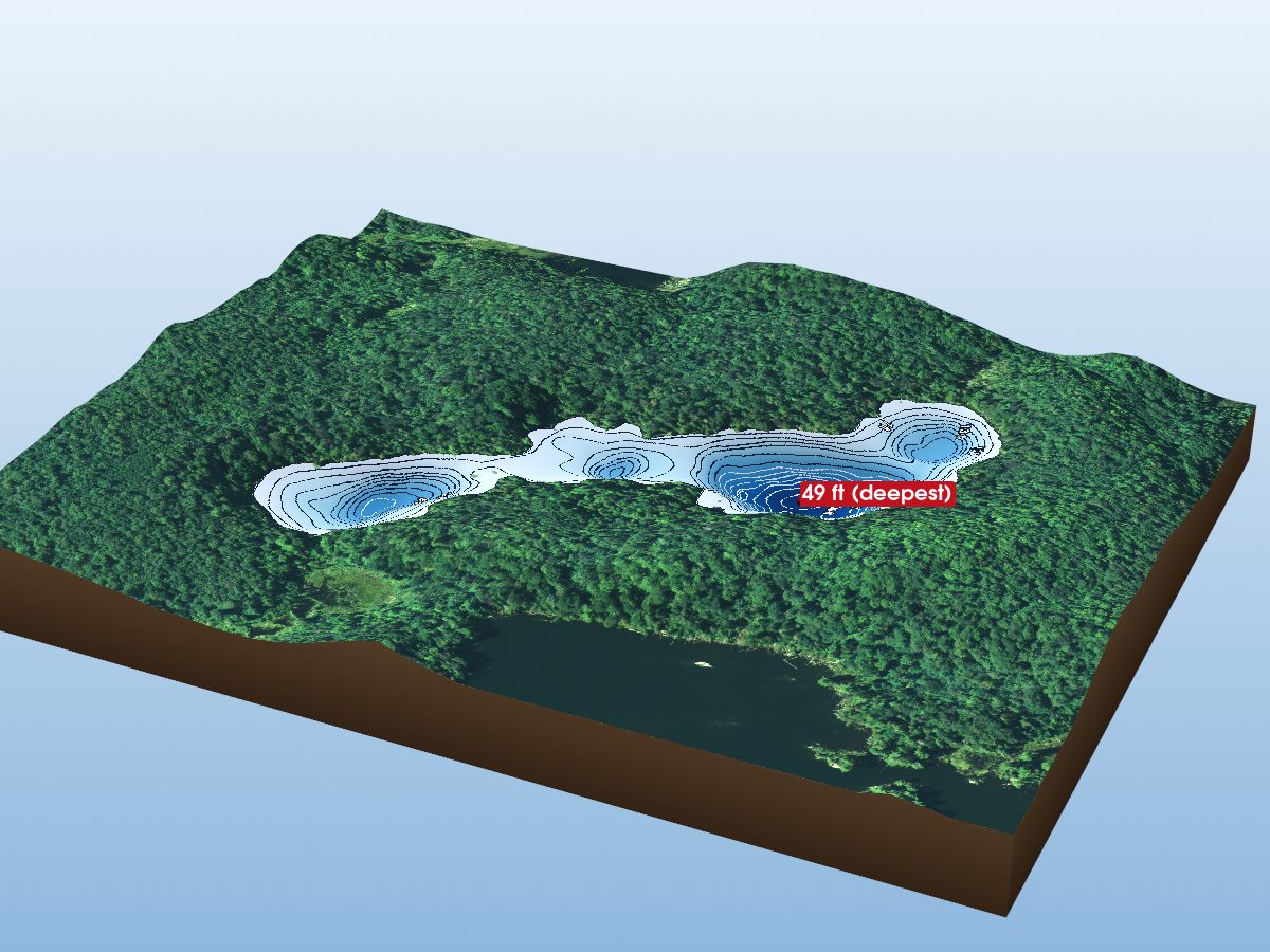 Depth map of Dewy Log Lake
