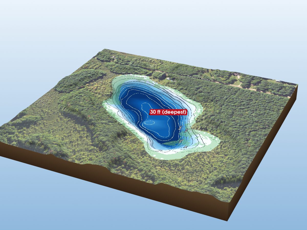 Depth map of Dickson Lake