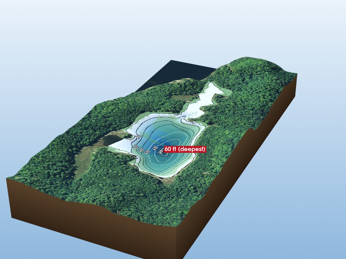 Depth map of Doc Hamill Lake