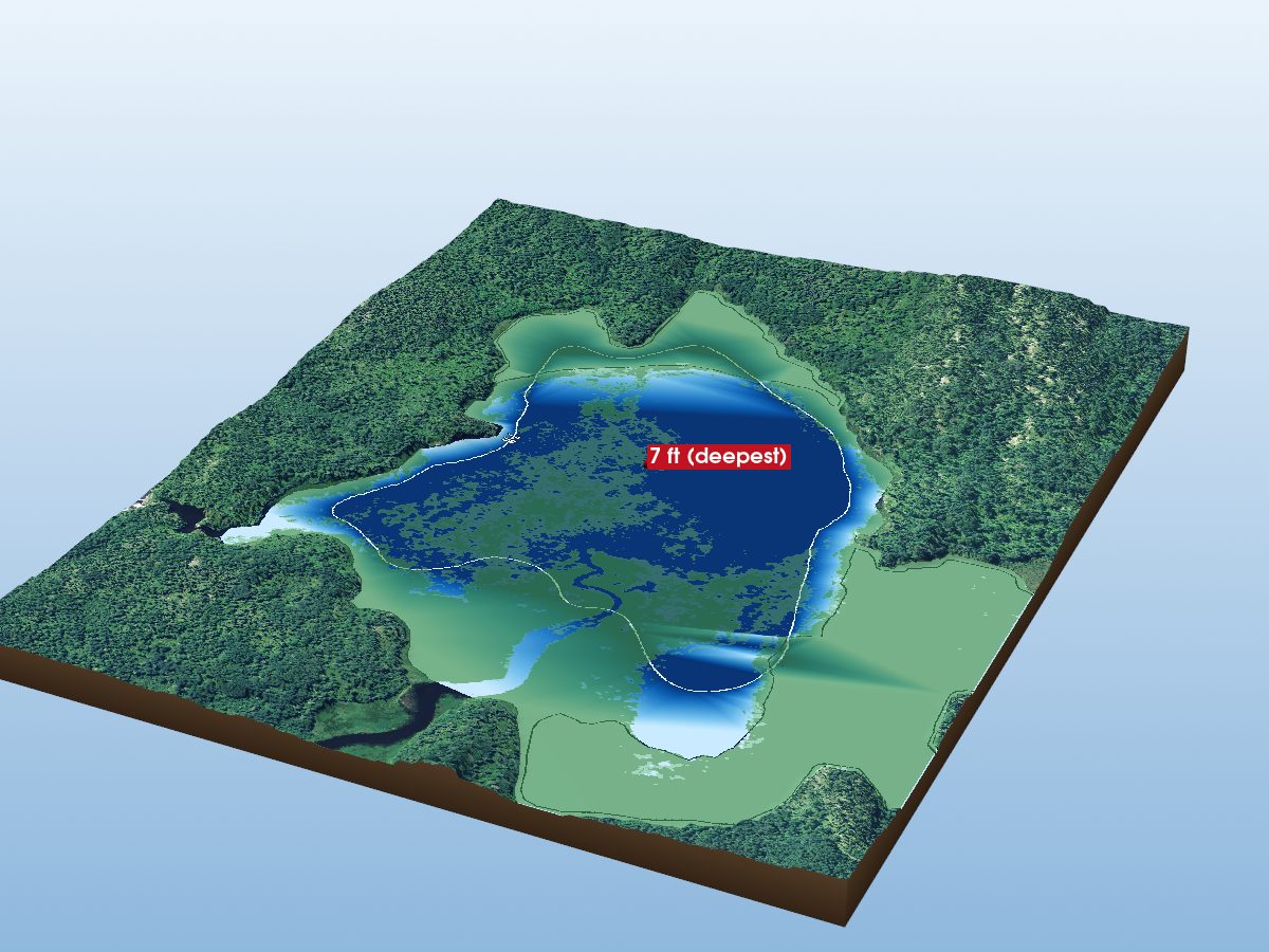 Depth map of Duck L.