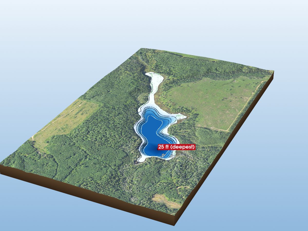 Depth map of Erickson Lake