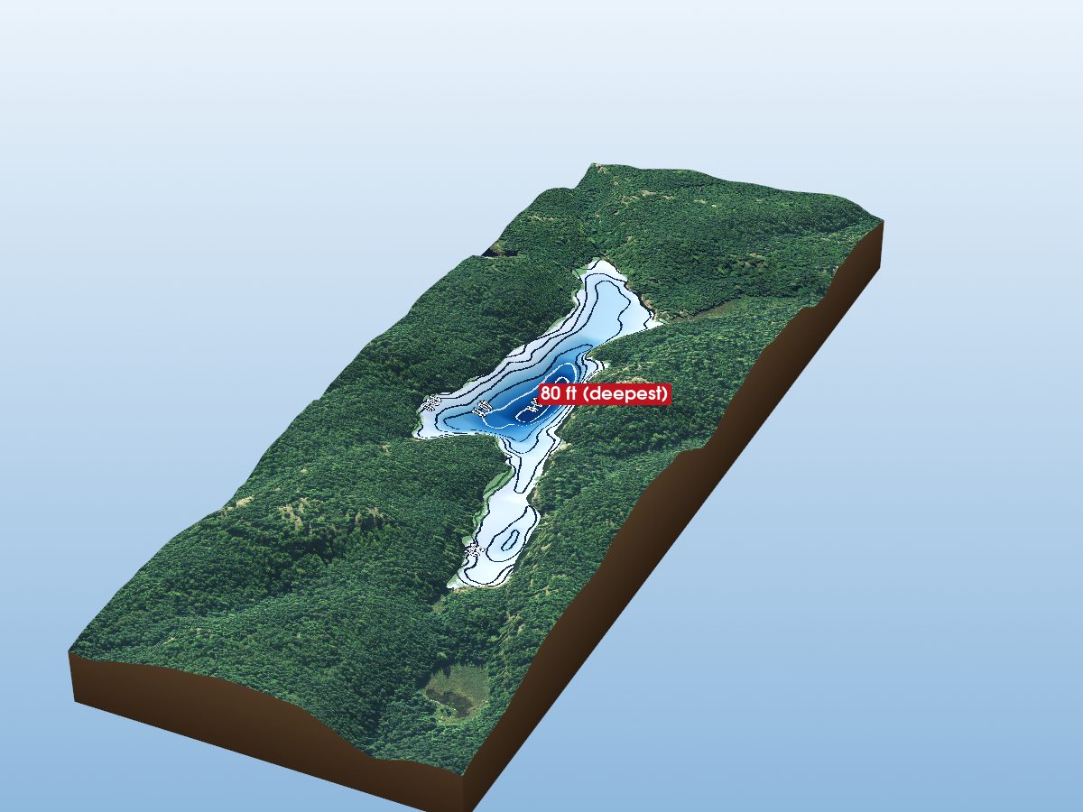 Depth map of Finger Lake