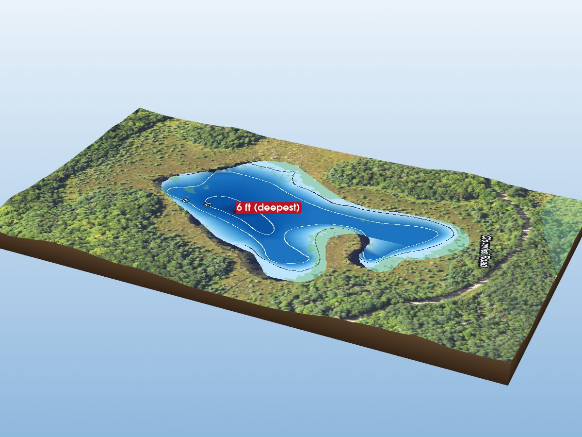 Depth map of Foggy Lake