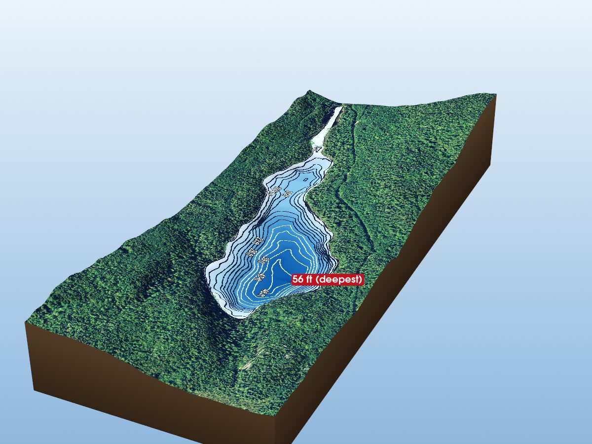 Depth map of Forsyth Lake