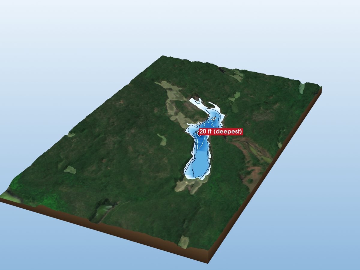 Depth map of George Lake