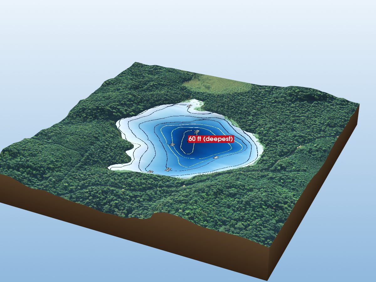 Depth map of Goodlookin Lake