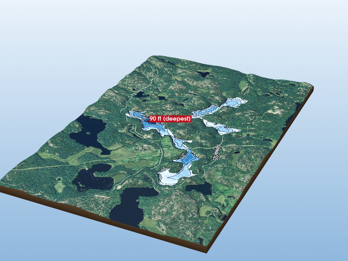 Depth map of Gooseneck Lake