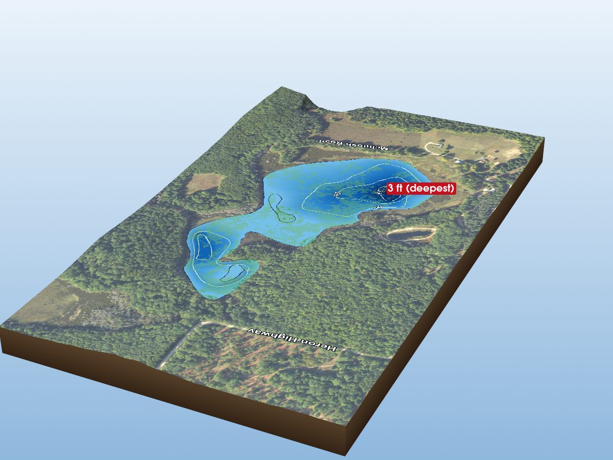 Depth map of Gorman Lake