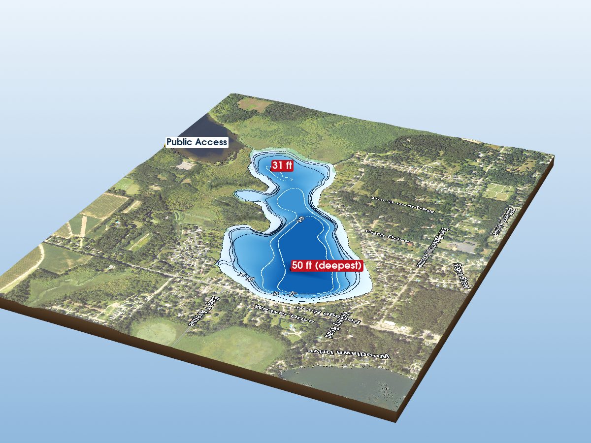 Depth map of Gourdneck Lake