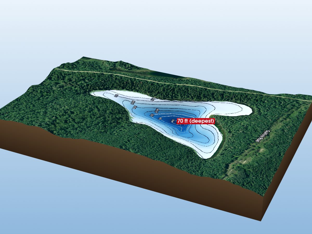 Depth map of Guilfoyle Lake 1