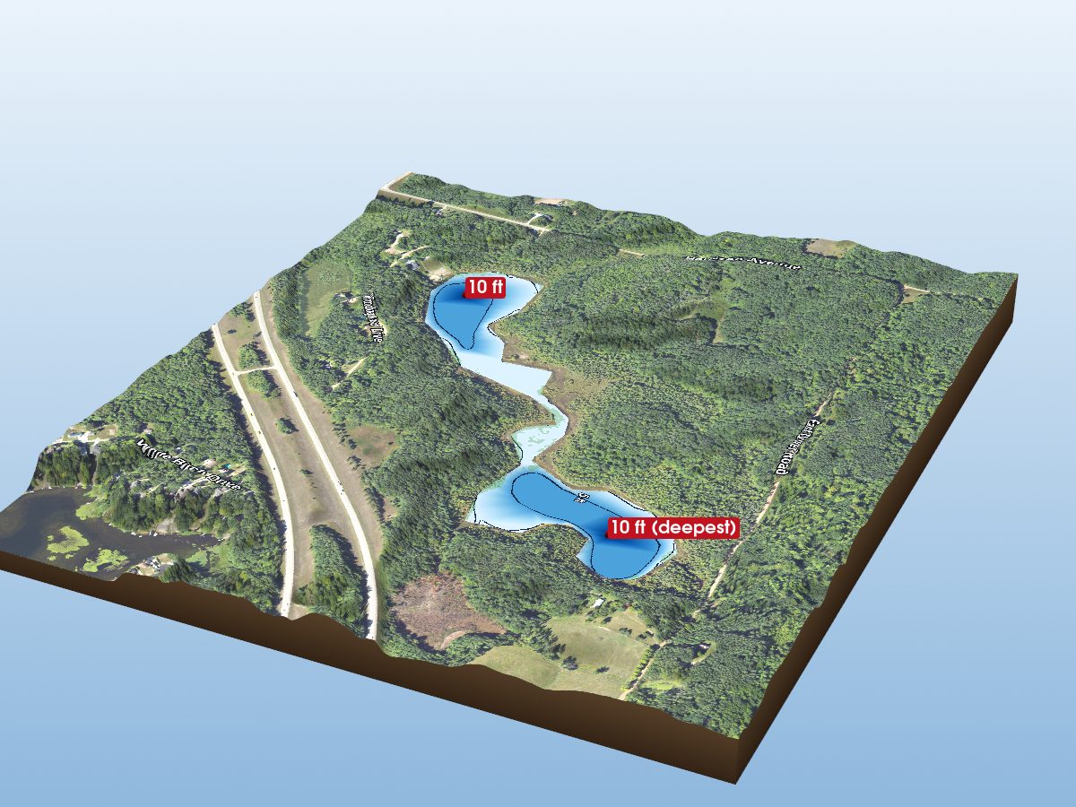 Depth map of Gut Lake