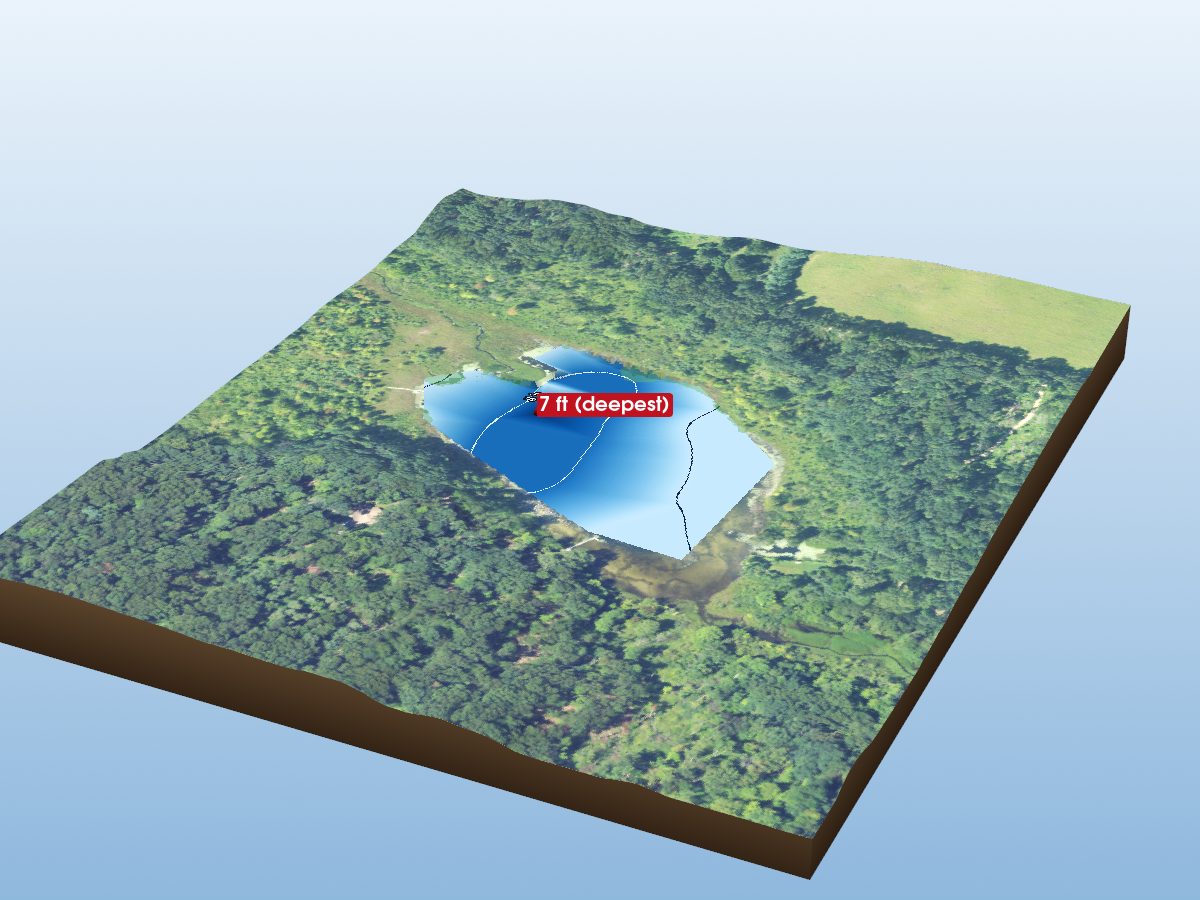 Depth map of Hawkins Lake