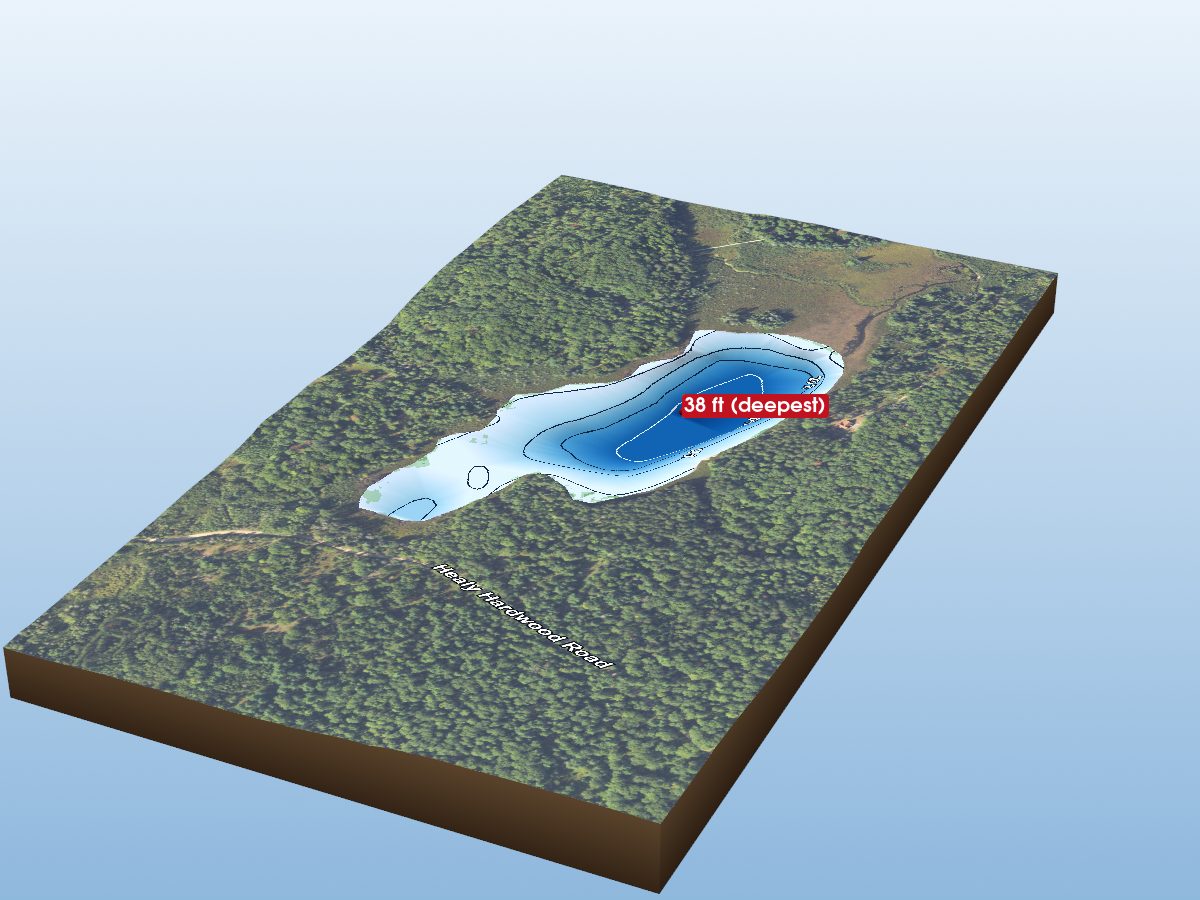Depth map of Healy Lake