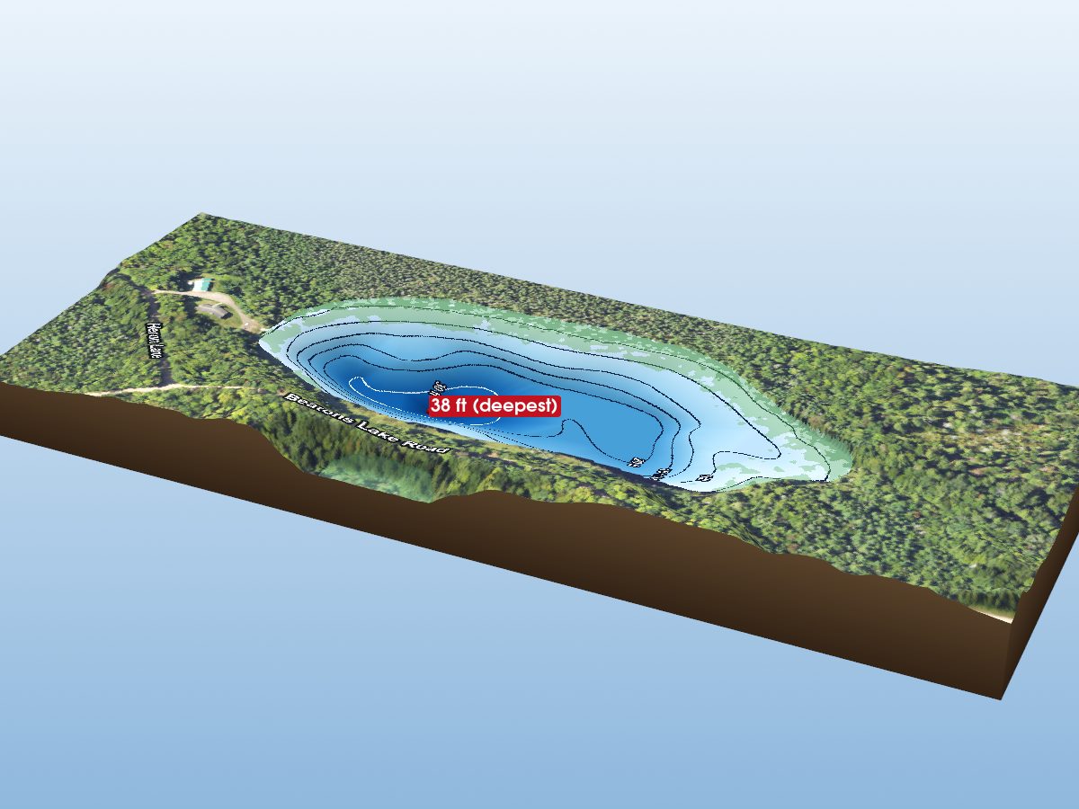 Depth map of Hemlock Lake