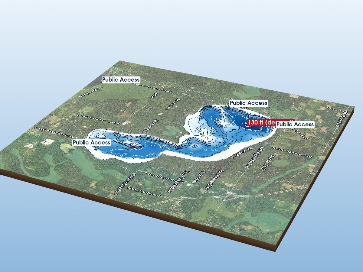 Depth map of Higgins Lake