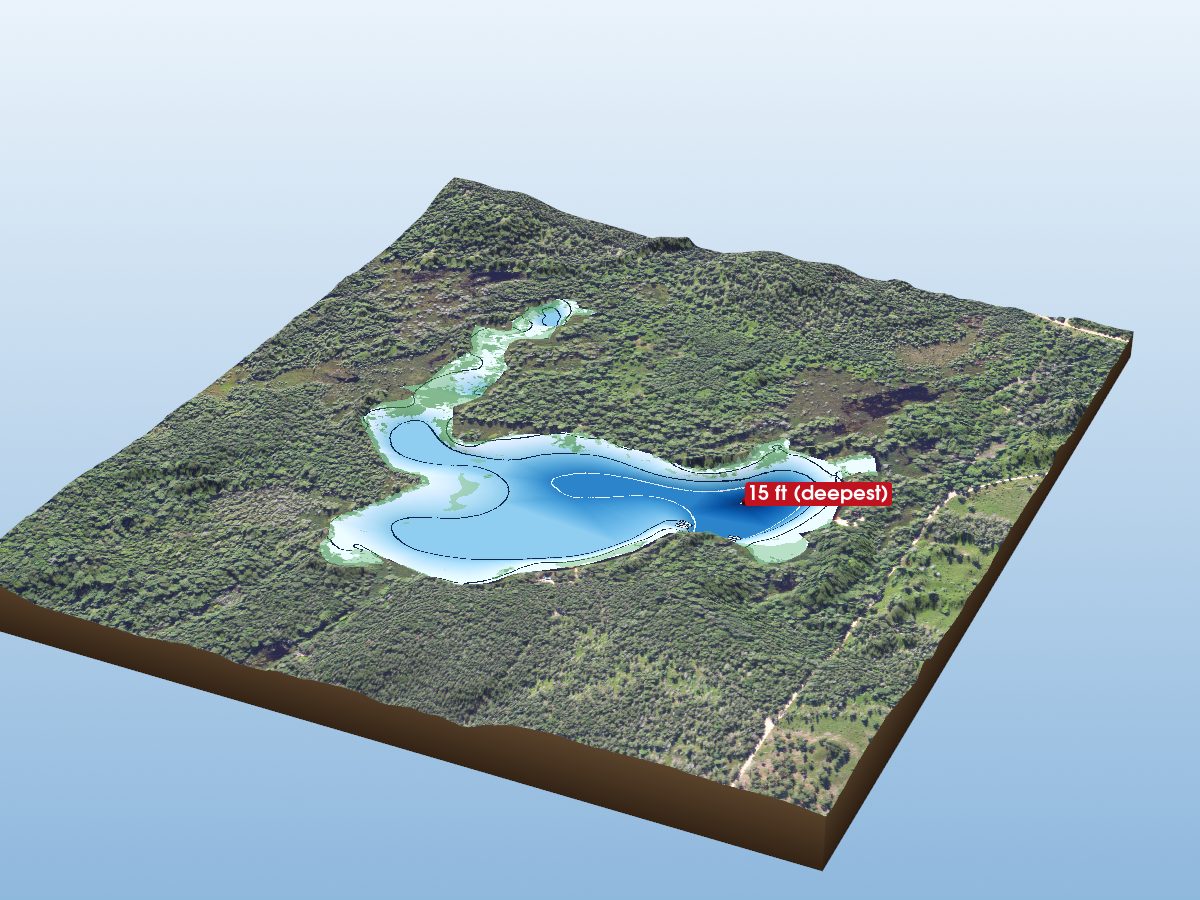 Depth map of Homestead Lake