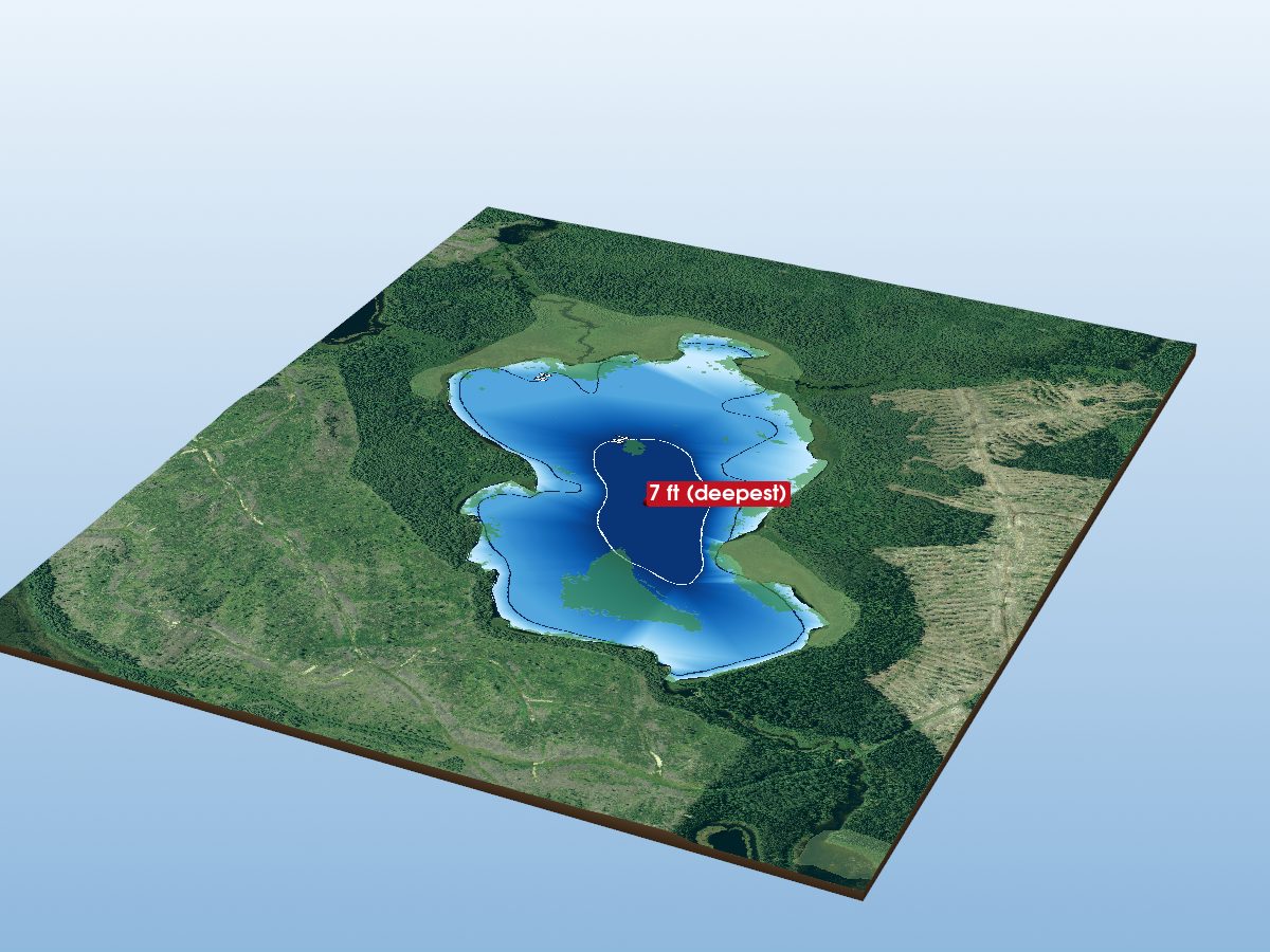 Depth map of Hopkins Lake