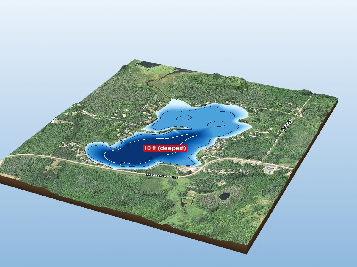 Depth map of Horseshoe Lake