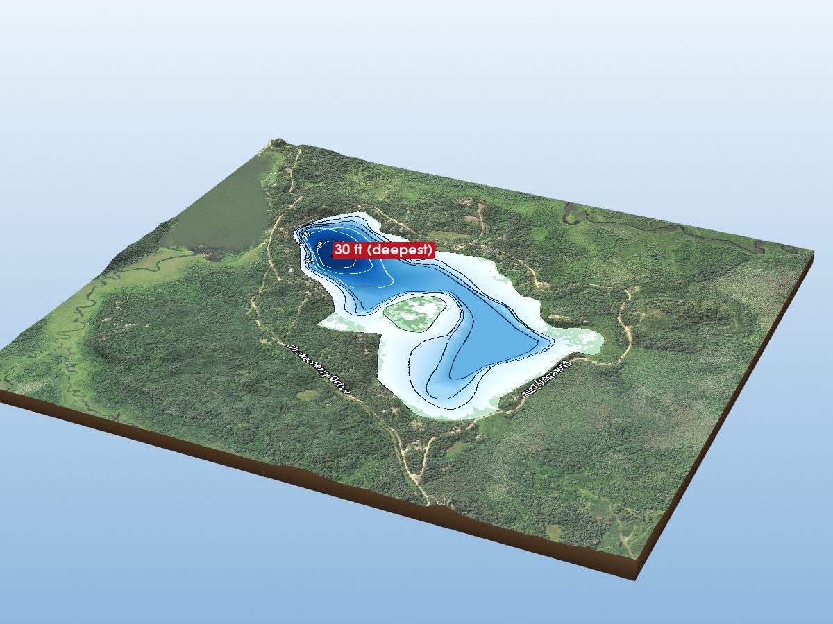 Depth map of Island Lake