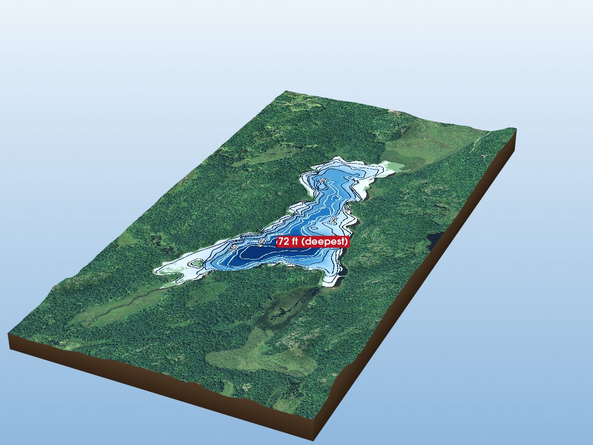 Depth map of Kings Lake