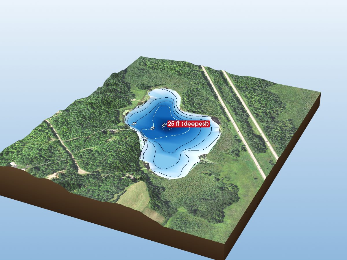 Depth map of Lake Twentynine